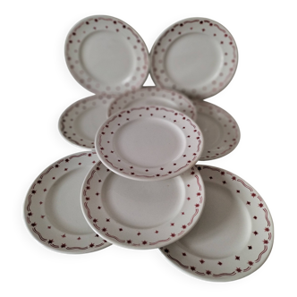Céranord Saint Amand plates star model