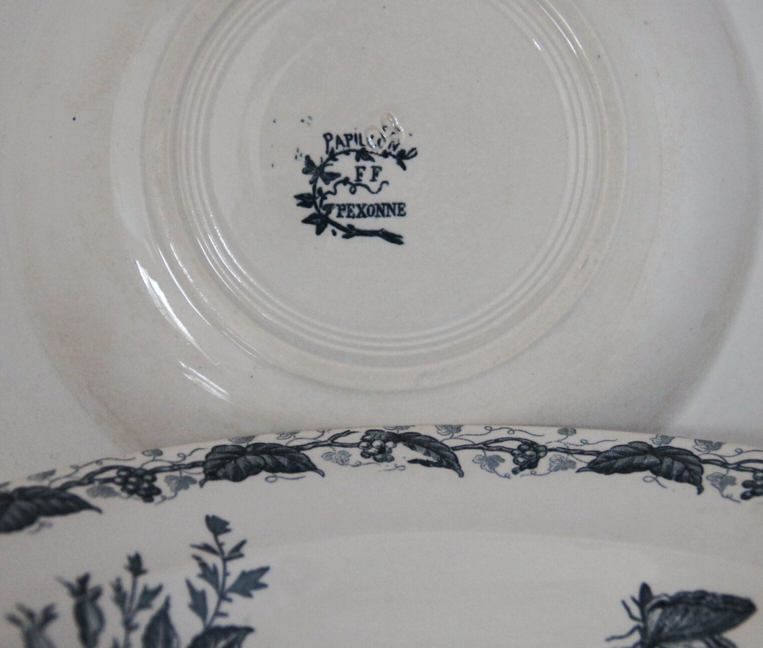 Lot of 6 hollow plates Butterfly - Pexonne Faïenceries