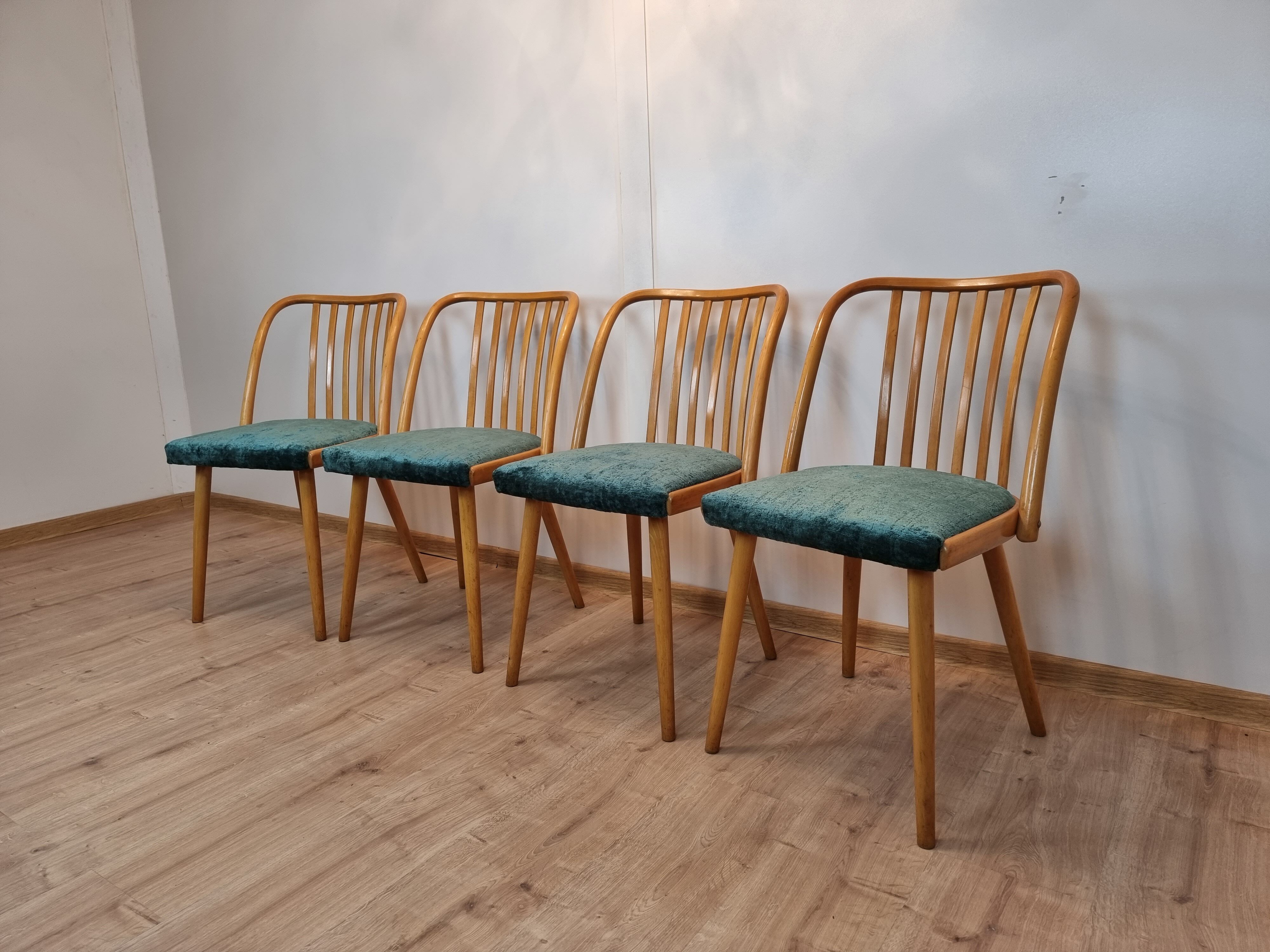 Antonin Suman dining chairs