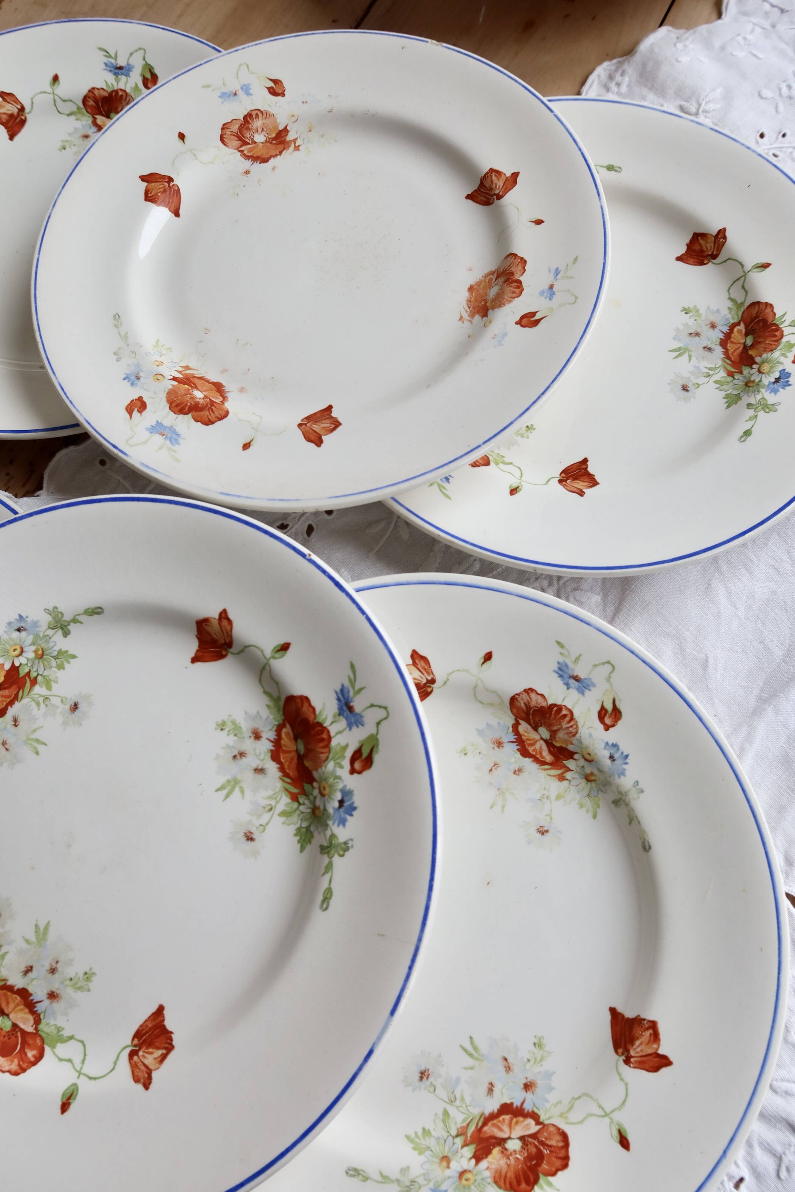 6 assiettes plates anciennes faience Salins - Modèle coquelicot