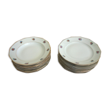 Set de 20 assiettes plates et creuses vintage CHR