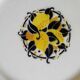 Capri plates