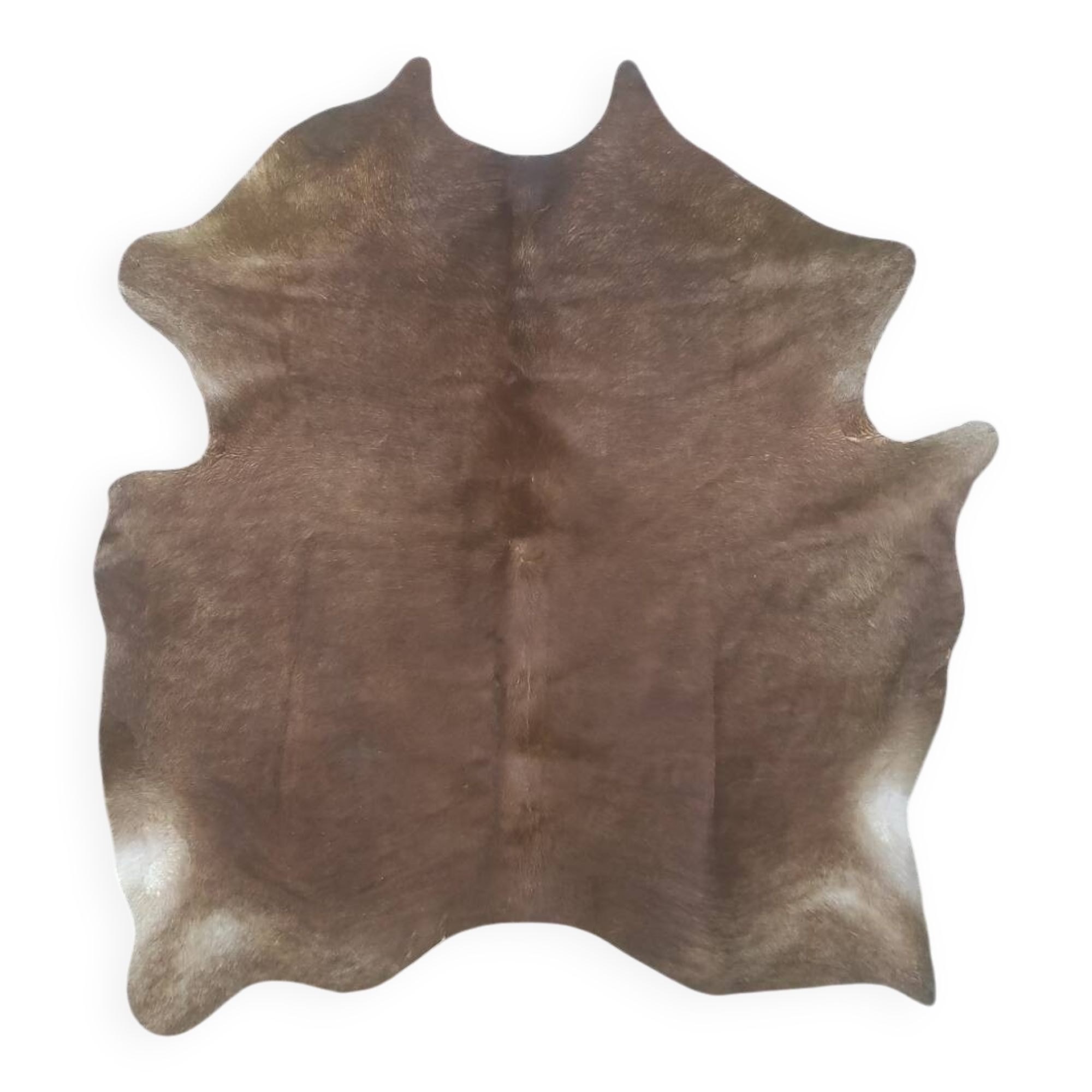 Cowhide XL