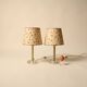 Pair of lamps with hand-painted floral shades