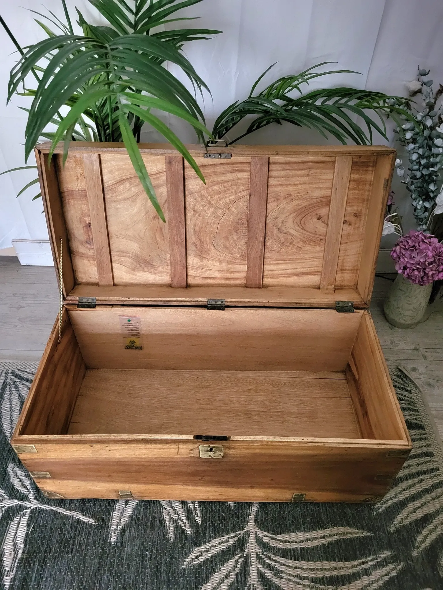Old camphor wood trunk