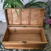 Old camphor wood trunk