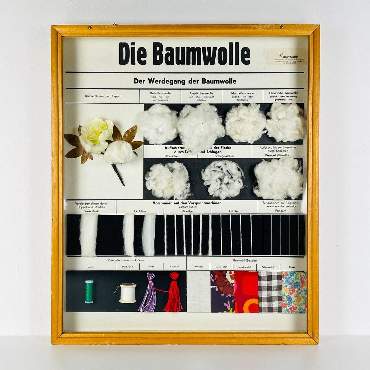 Vintage educational school display Cotton by Josef Galler, Germany, 1960s.