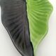 SAP Vallauris Vintage Leaf Bowl Two-Tone Ceramic Green Black 50s 60s