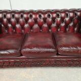 Chesterfield leather sofa burgundy English style
