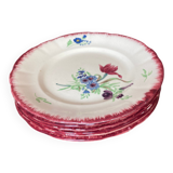 6 dessert plates decorated with field flowers