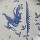 Decorative plate in French faience with bird decoration, Moustiers style.