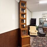 Original Globe Wernicke English Display Museum Cabinet