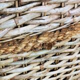 Panier de récolte
