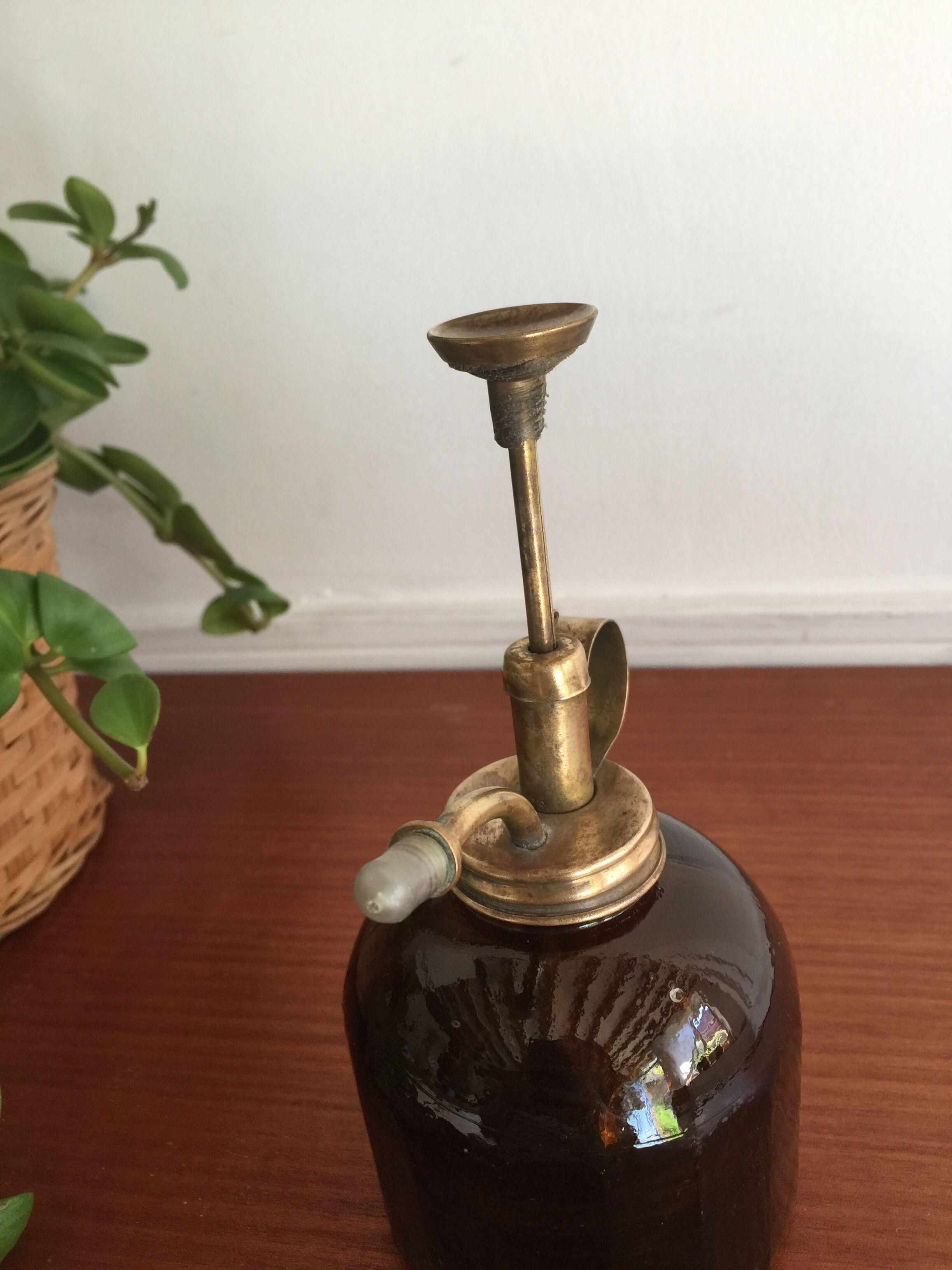 Brass plant and glass spray