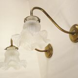 Pair of gooseneck wall lamps
