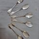 Silver fish spoons