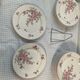 Series of 12 porcelain dessert plates decorated with flowers Bernardaud Limoges
