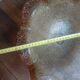 Murano glass lampshade
