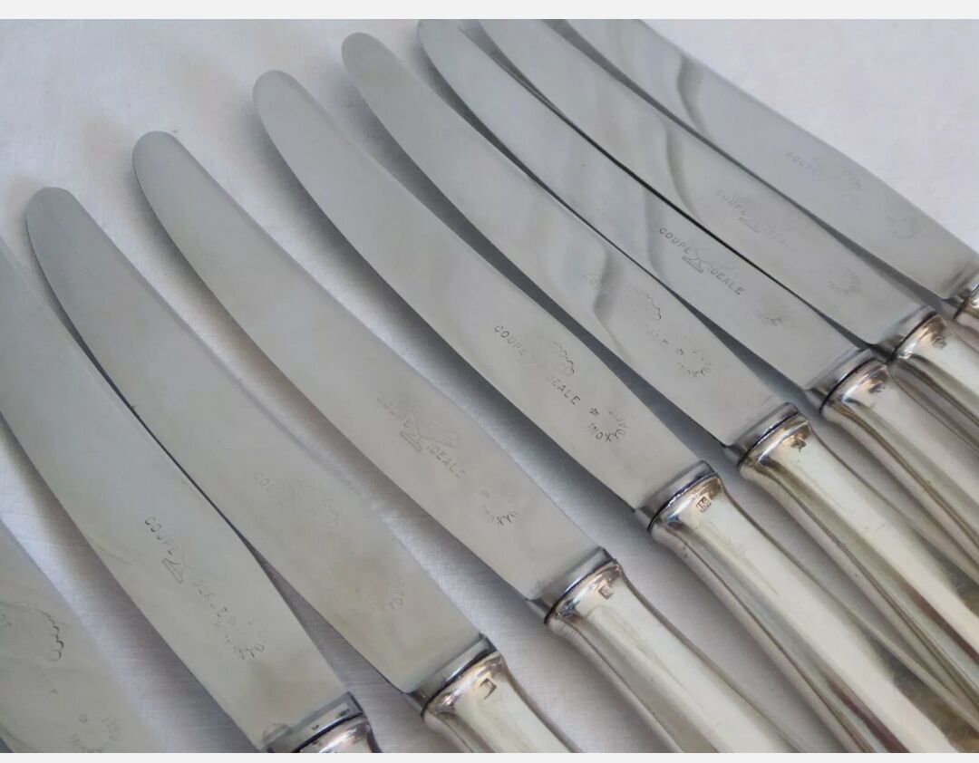 12 silver metal knives