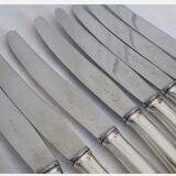 12 silver metal knives