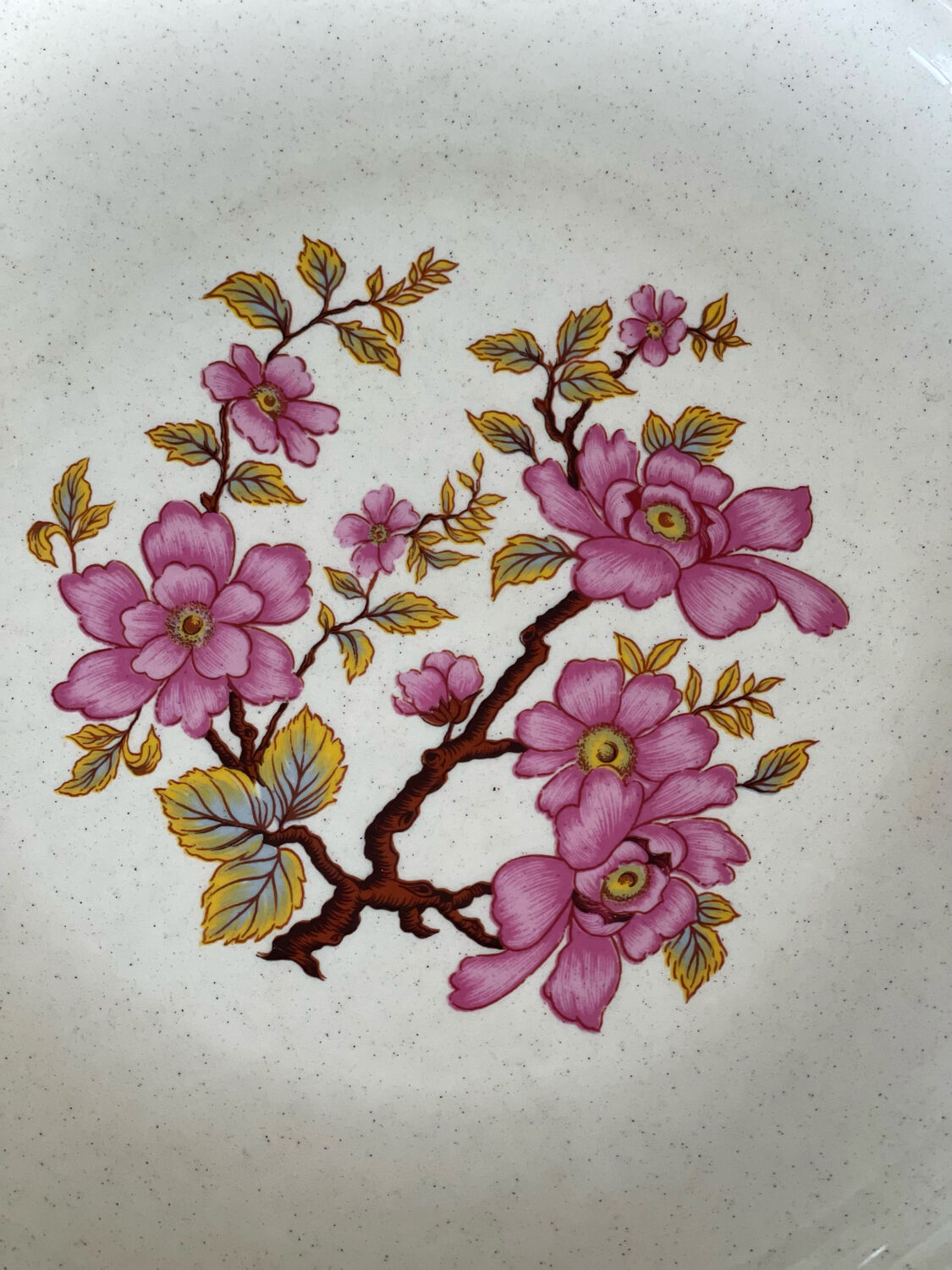 5 Gien dessert plates