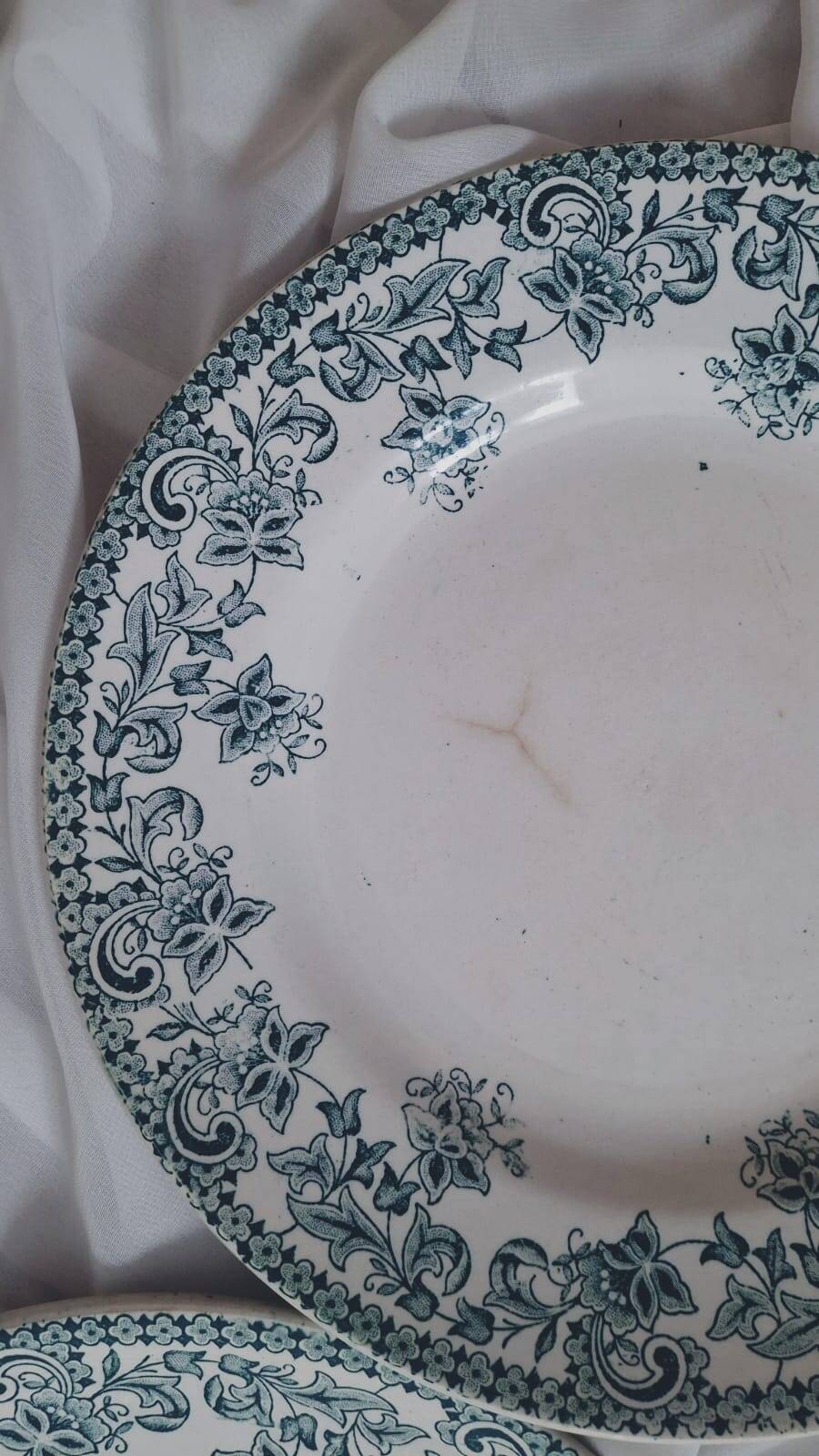 Set of 4 antique ironstone plates from Saint-Amand, "Jane" model.