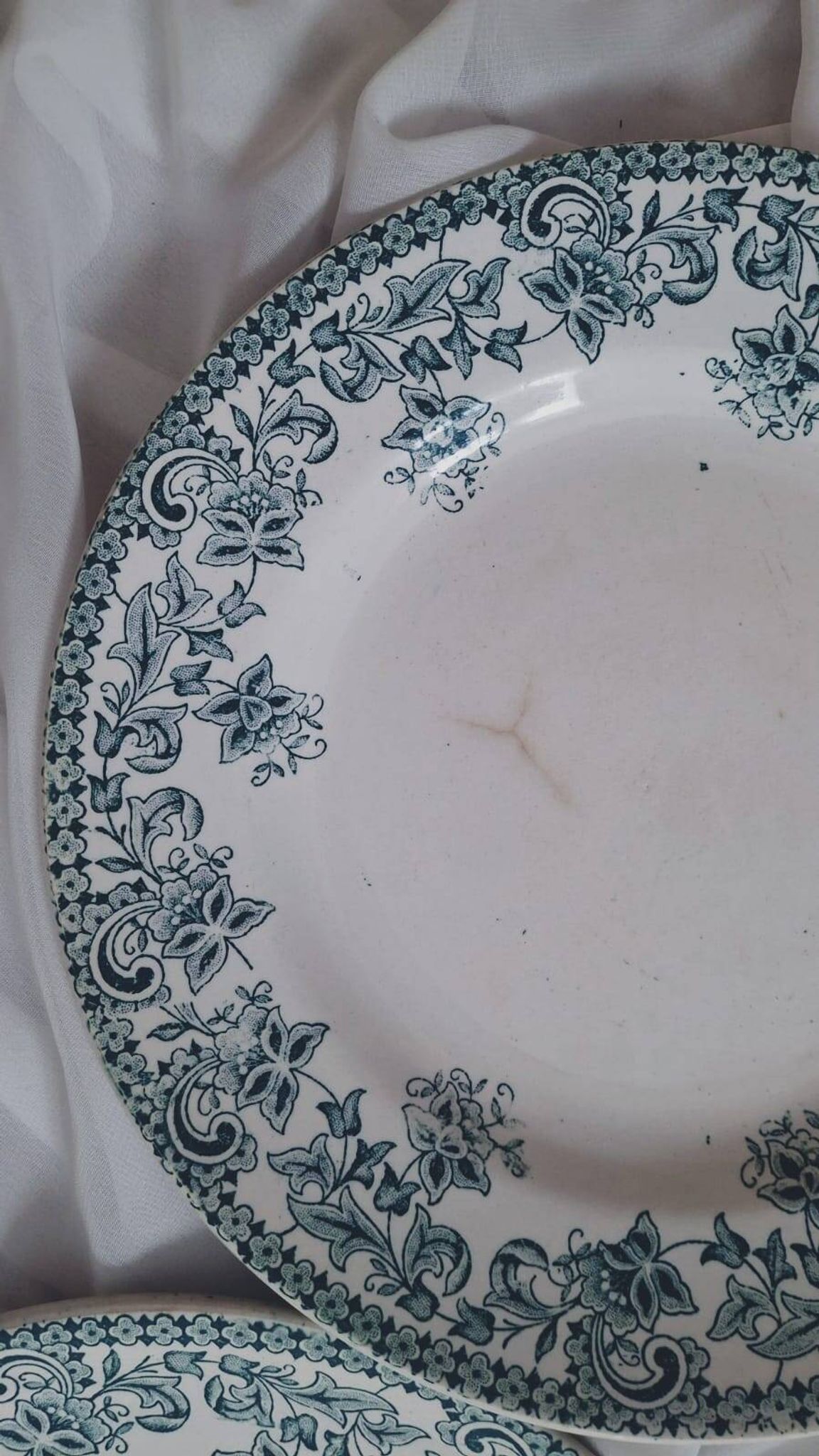 Set of 4 antique ironstone plates from Saint-Amand, "Jane" model.