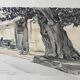 André Duculty (1912-1990) Watercolor on paper "Place de l'ormeau à Ramatuelle" Signed below