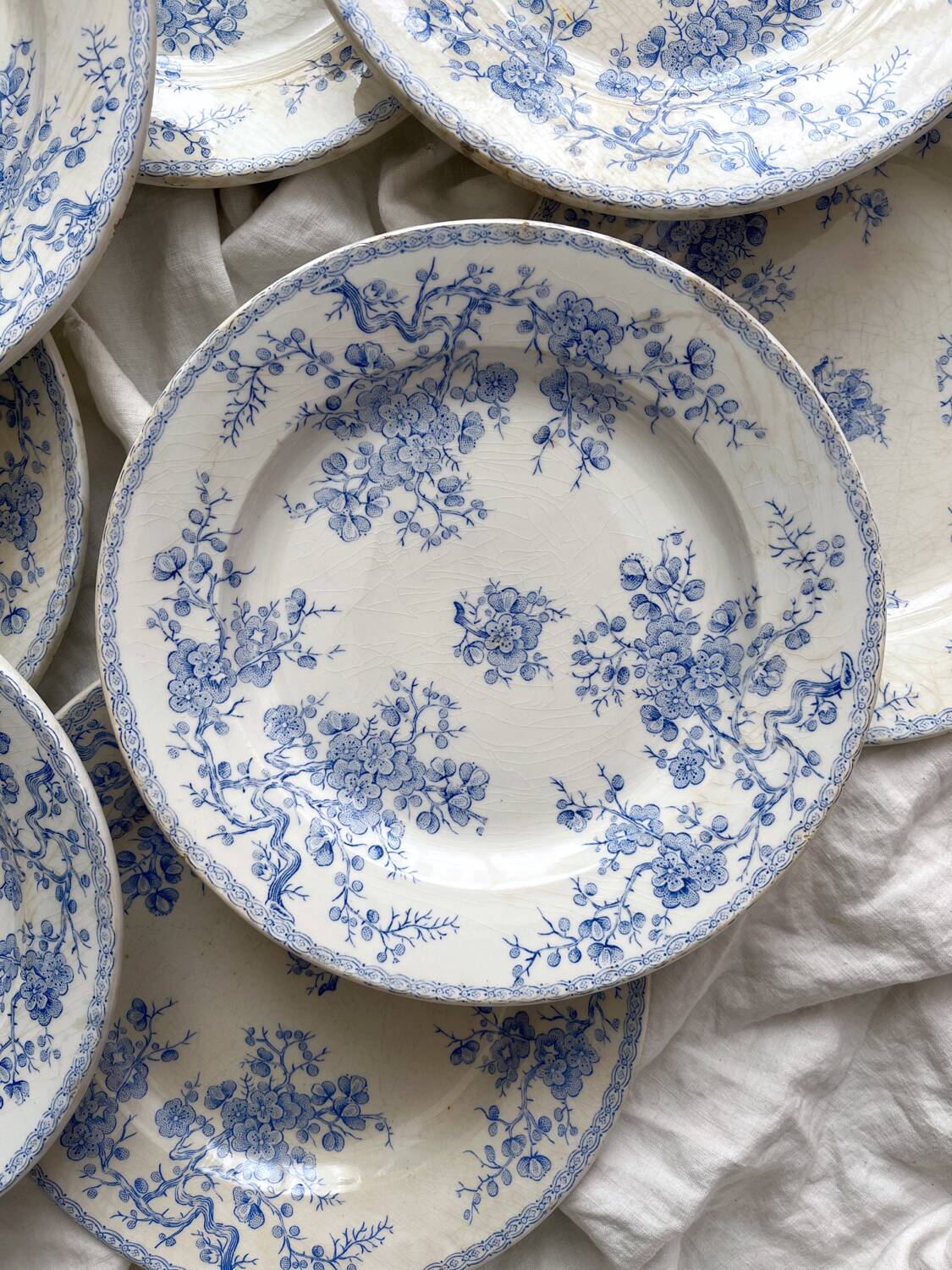 8 flat ironstone plates “Fleurette” Gien