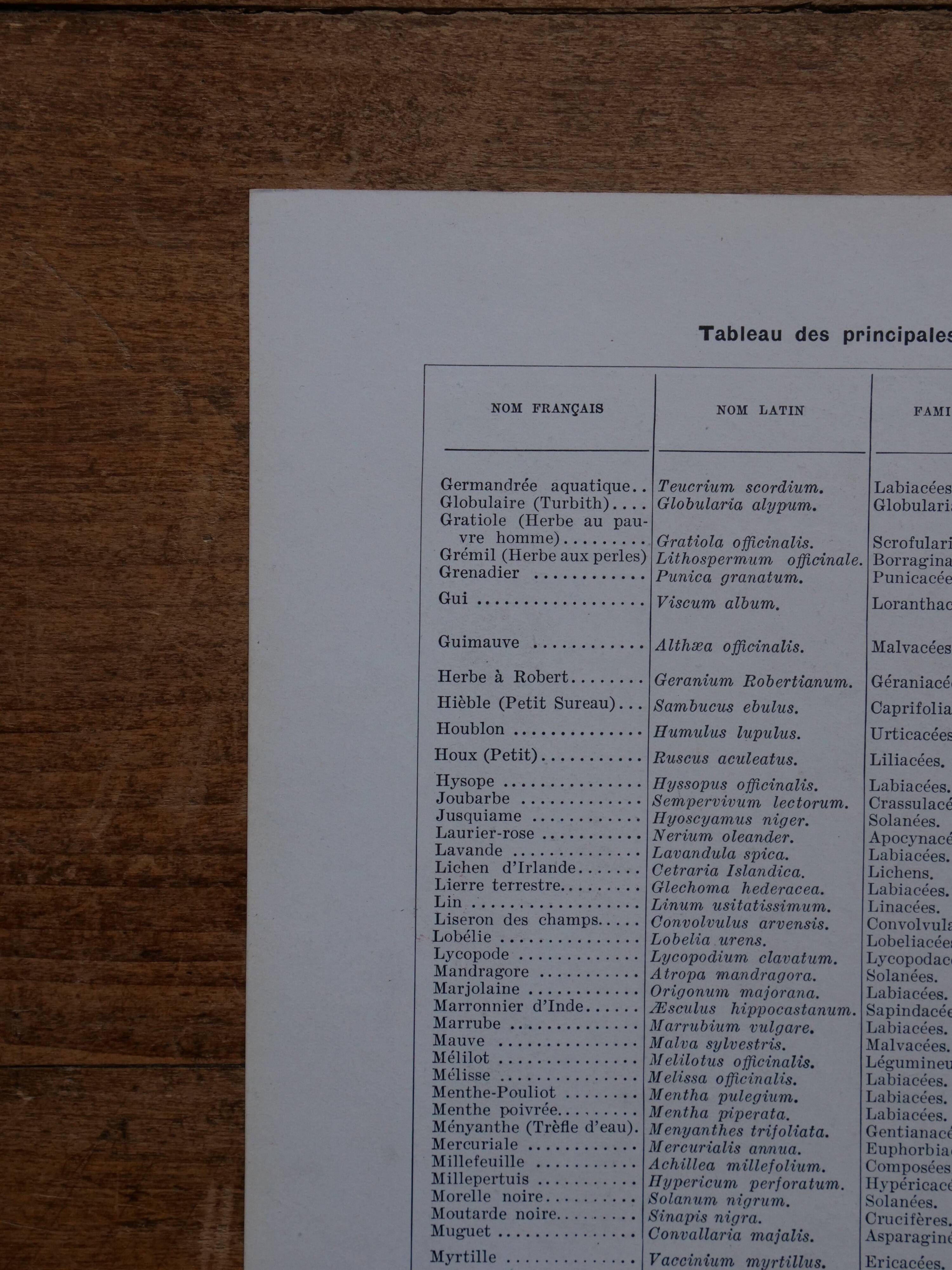 Original lithographs on medicinal plants