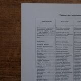 Original lithographs on medicinal plants