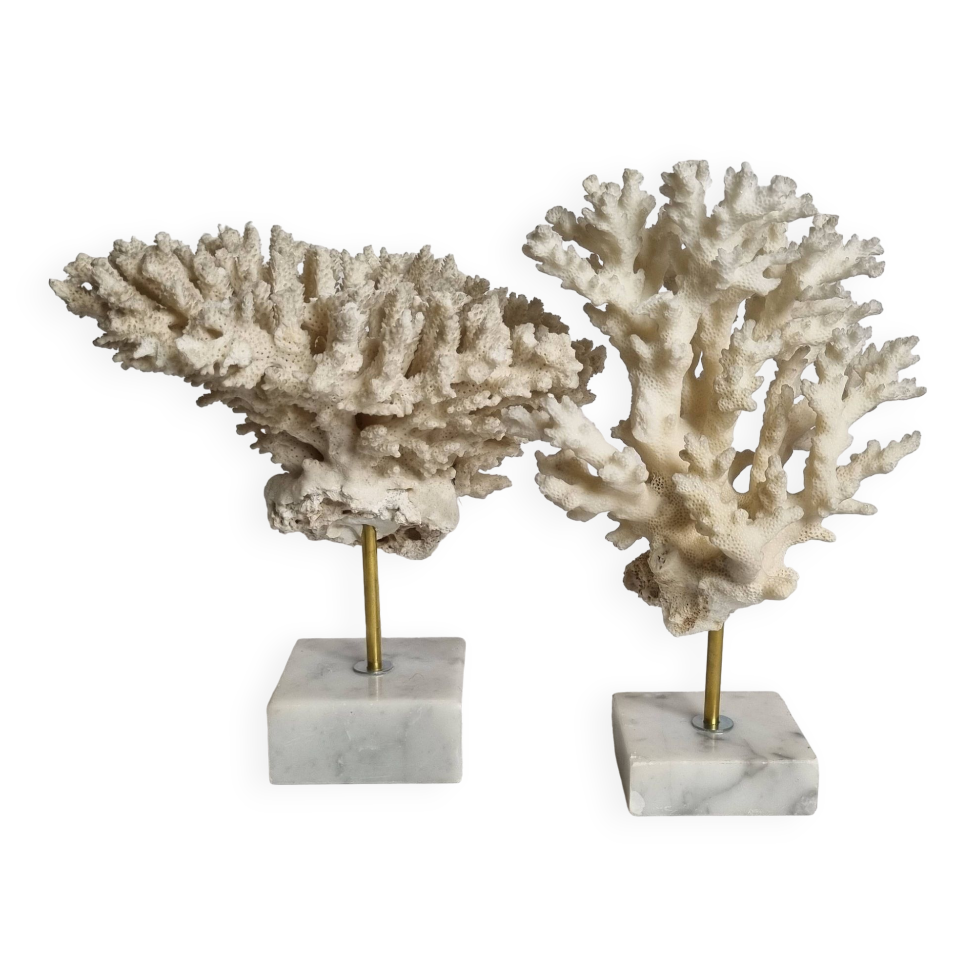 Set of four old white corals on marble base, 20 cm