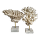 Set of four old white corals on marble base, 20 cm