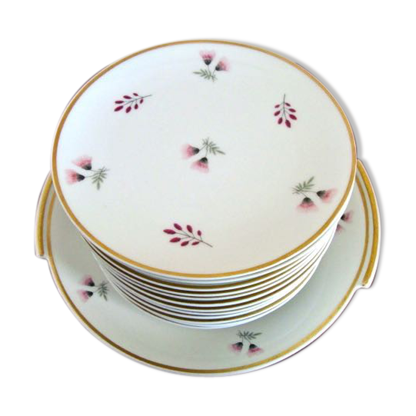 Set 12 plates and 1 porcelain dessert dish