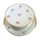 Set 12 plates and 1 porcelain dessert dish