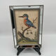 Antique engraving of bird naturalist, by Georges Edwards.