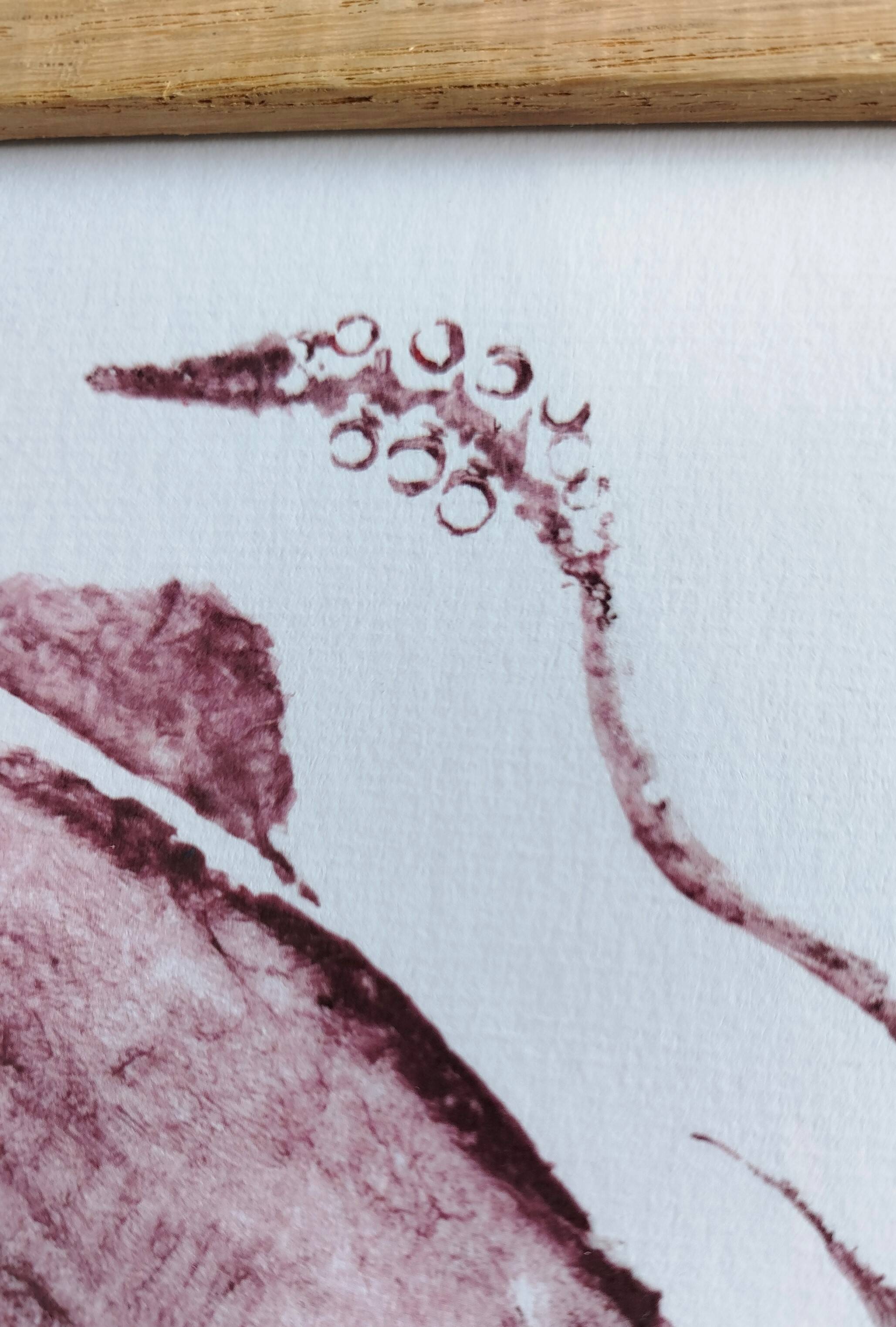 Framed art print, "Print of a squid"