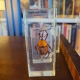 Insects under vintage resin