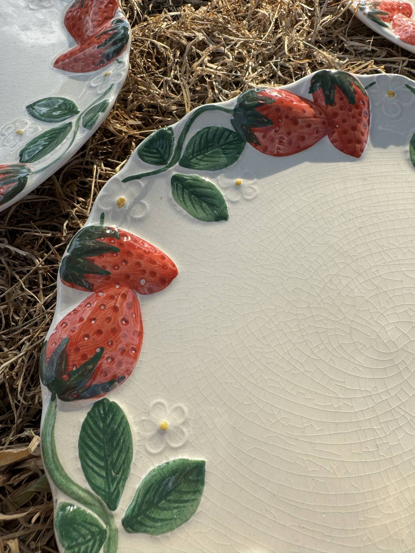 Longchamp antique strawberry barbotine plates