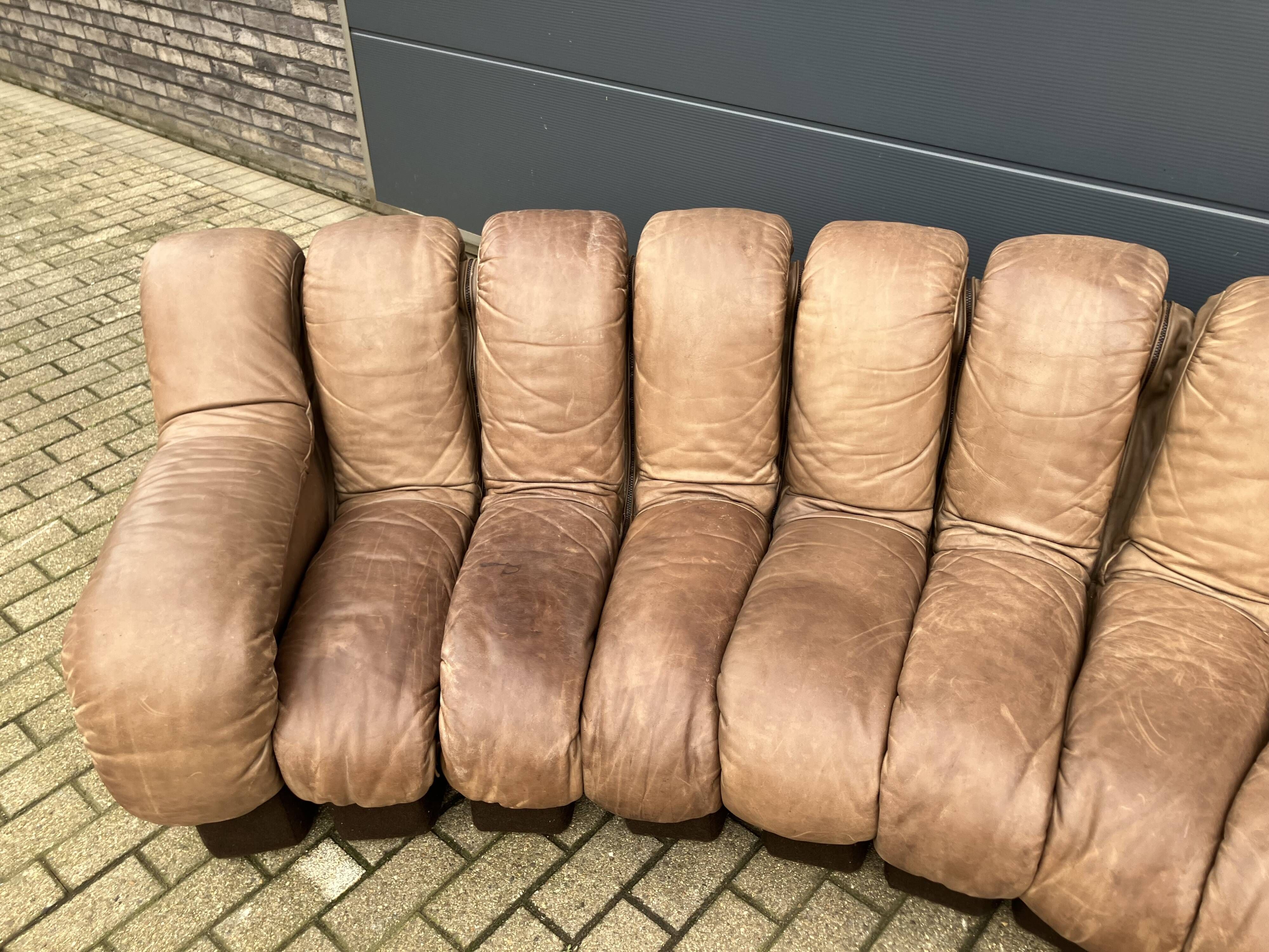 De Sede Ds600 Snake Tatzelwurm, 14 elements. Origineel in Topstaat!!