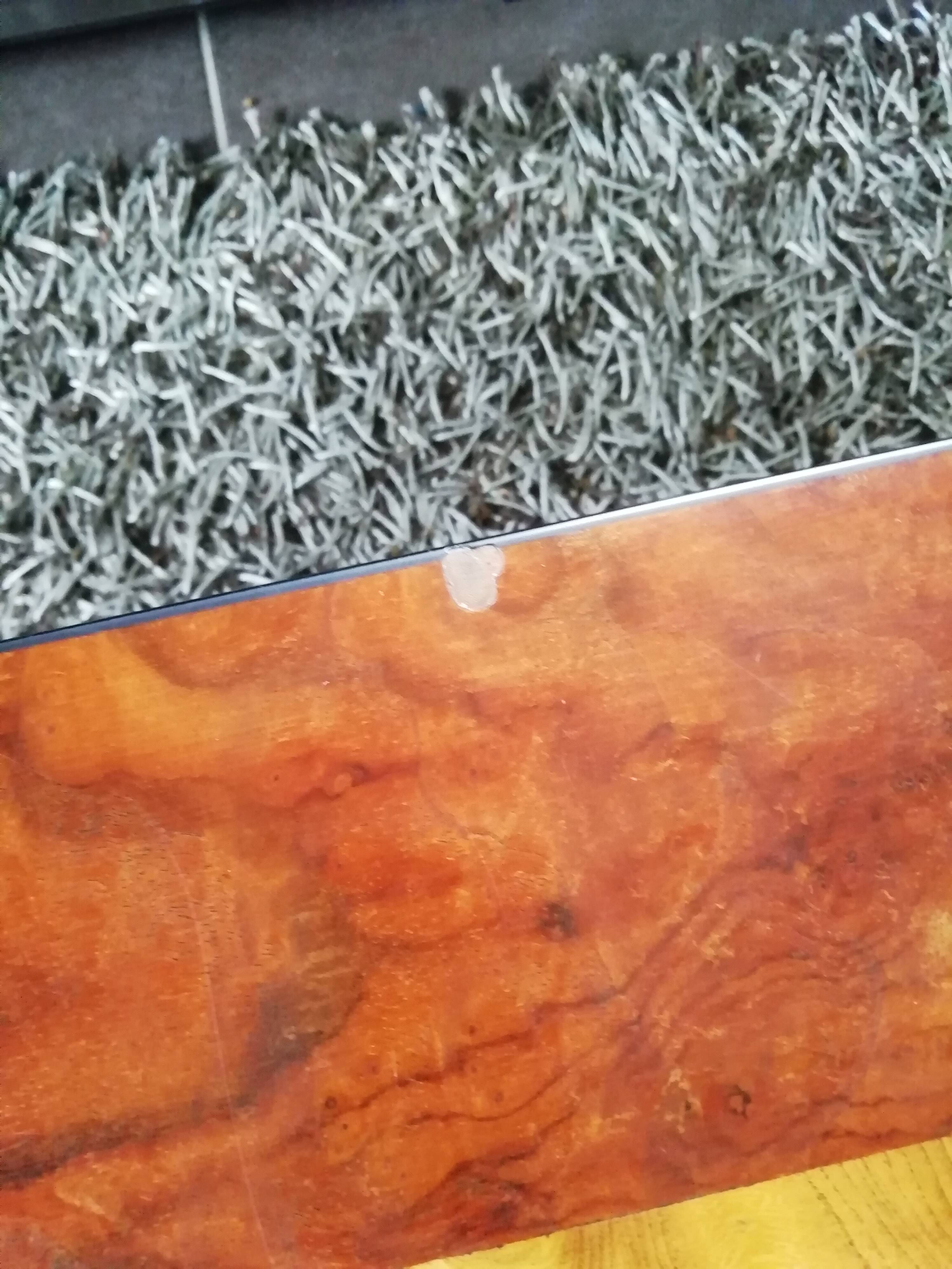 elm burl coffee table