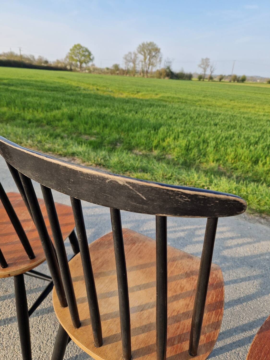 Set of 6 Fannett Scandinavian chairs by Ilmari Tapiovaara 1960.