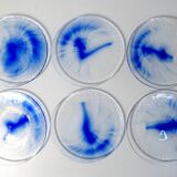 6 assiettes bleu cobalt Bormioli Rocco