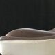 Tulip foot chair