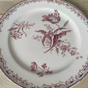 6 assiettes à dessert modèle Fontanges par Sarreguemines