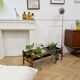 Teak planter