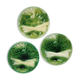 Creil and Montereau asparagus plates