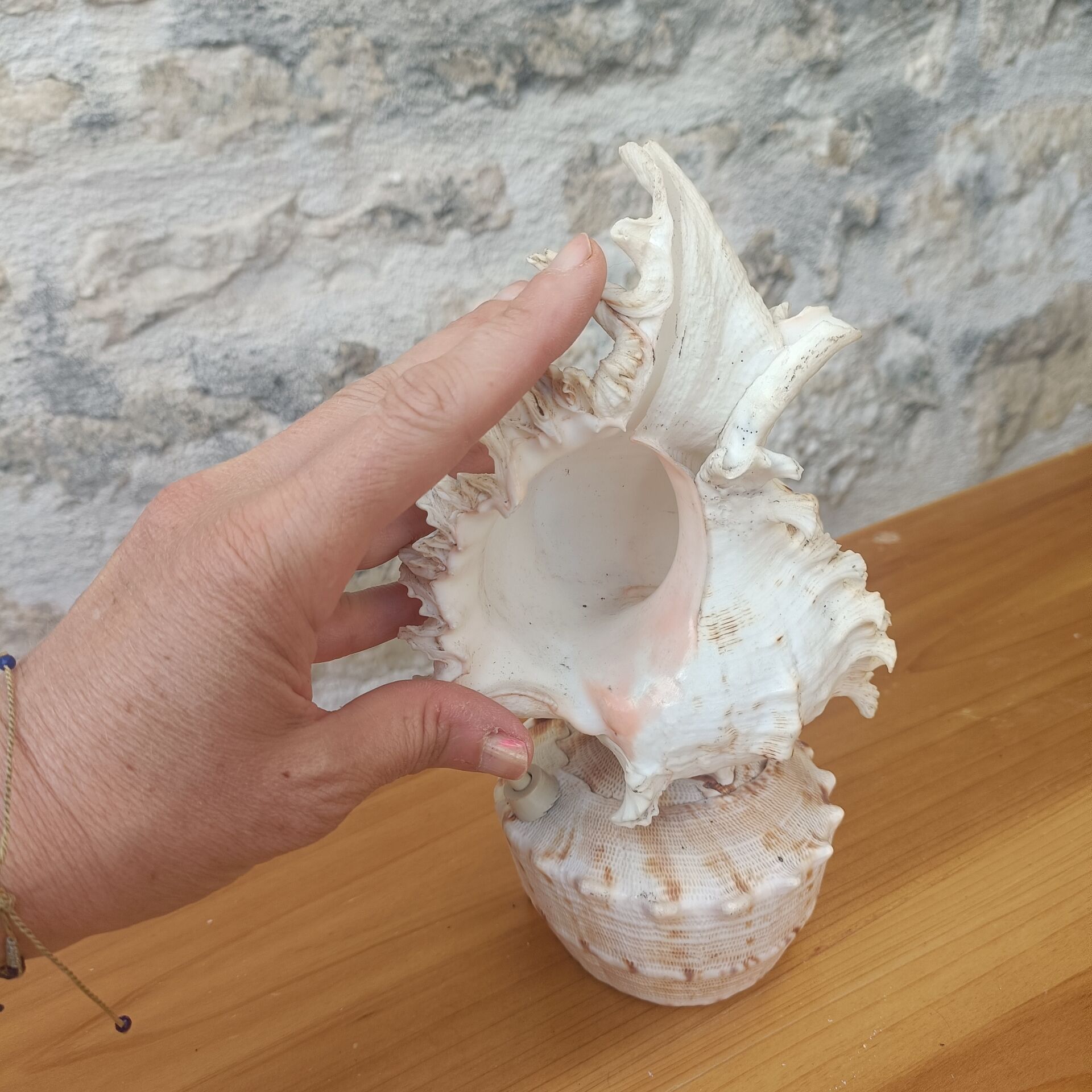 Shell lamp 60's