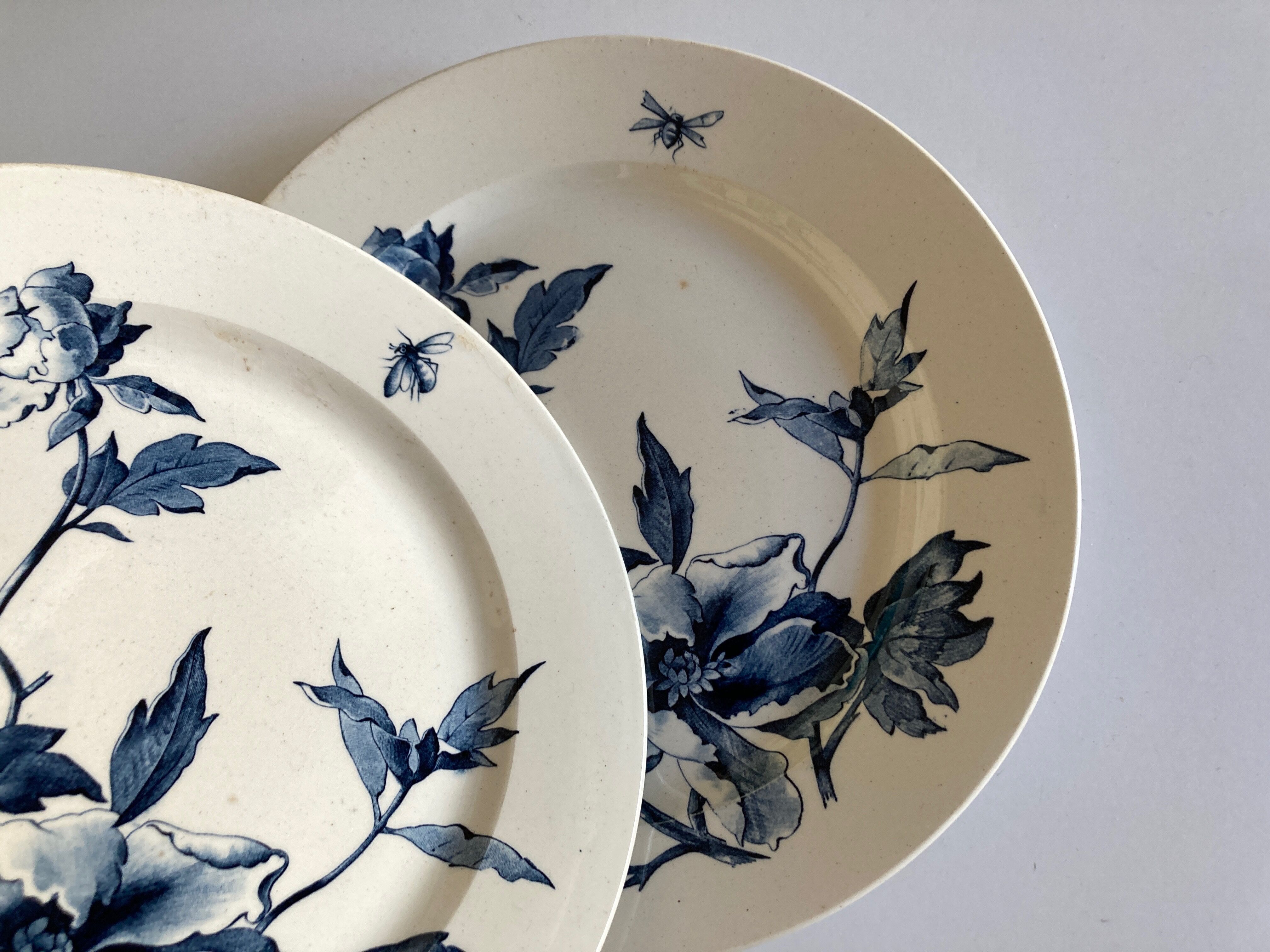 Dish poppies in faience of Gien 19th decoration Summer