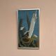 Original Swedish Oil on Canvas – "Aqave" by Marit Wahlström Schönbäck – Signed – Dated 1969 – Framed – 37 × 64 cm